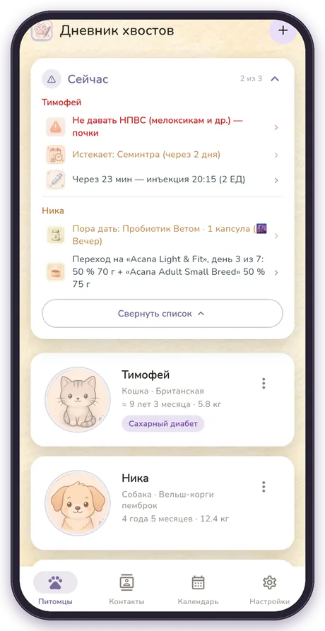 Блок «Сейчас»
