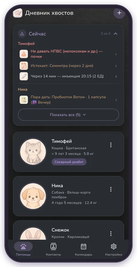 Тёмная тема